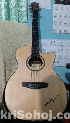 Guitar-(DEVIJER L-570-40)